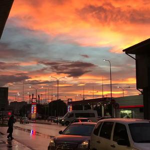 欧美人与性动交ccoo高清毛茸茸
