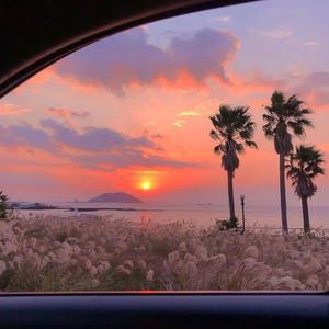 欧美人与性动交ccoo高清毛茸茸
