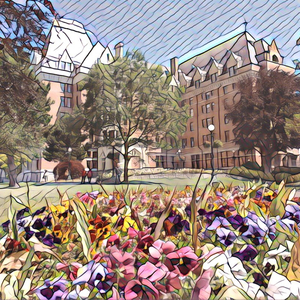 欧美人与性动交ccoo高清毛茸茸
