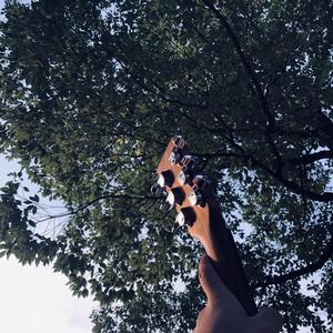 欧美人与性动交ccoo高清毛茸茸
